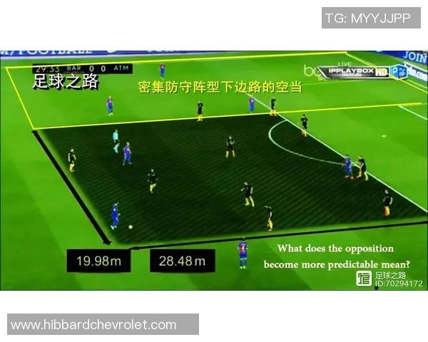 深圳排球队区域防守战术解析与实战应用探讨