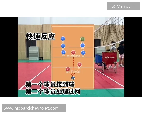 重庆排球队速度之谜：探索排球运动中的快速反应与战术运用